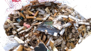 All of the cigarette butts and trash picked up from around Marlboro Tree.